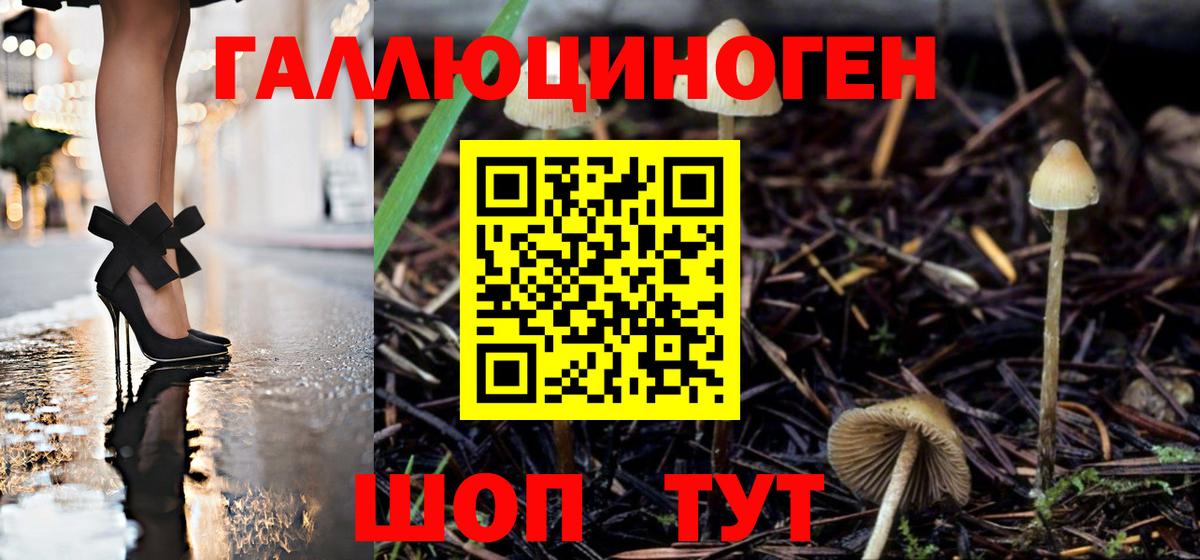Златоуст  Галлюциногенные грибы Cubensis  Вход с VPN 